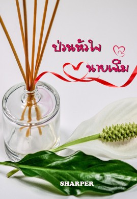 ป่วนหัวใจนายเฉิ่ม