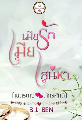 เมียรักเมียเสน่หา (เนตรดาว+ภัทรศักดิ์)