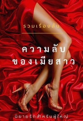 ความลับของเมียสาว 